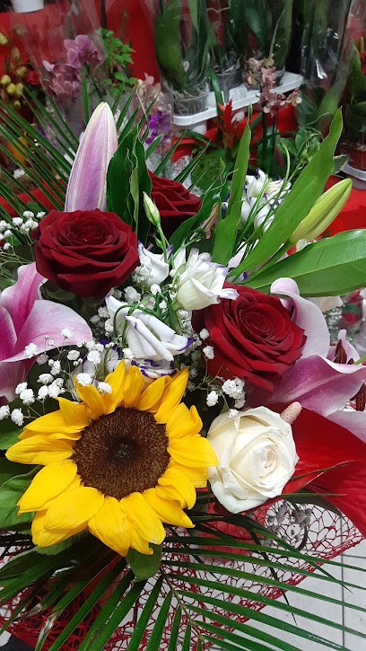 Casablanca - Piante E Fiori, Fiorista a Modena