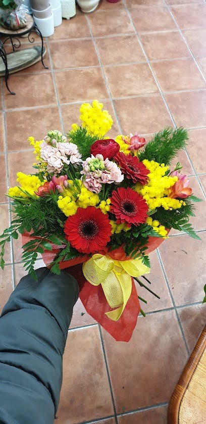 L’Angolo Fiorito Di Noemi, Fiorista a Piobbico