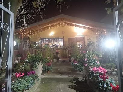 Blumenart Di Turiano Maria, Fiorista a Tropea