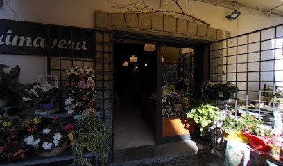 La Primavera Di Privitera Patrizia, Fiorista a Sutri