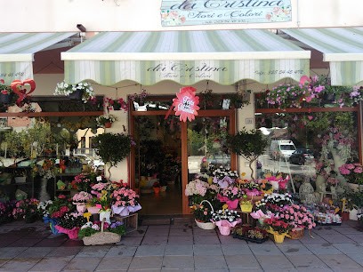 Da Cristina Fiori e Colori, Fiorista a Senorbì