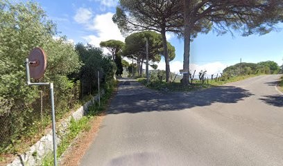 Di Fabio Laura, Fiorista a Terracina