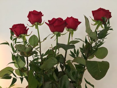 Fioreria Popy, Fiorista a Venezia