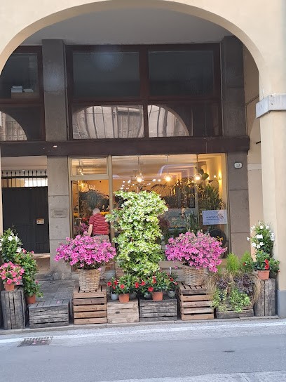 Emerald Flower, Fiorista a Padova