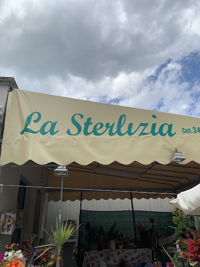 Fioreria La Sterlizia, Fiorista a Montelabbate