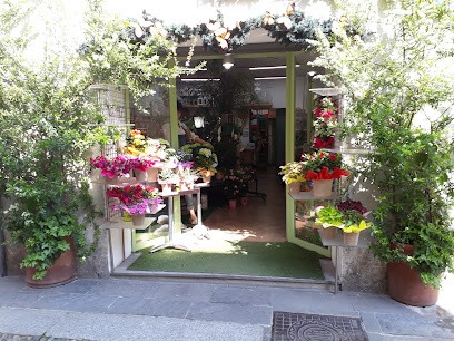 Fiorarte Di Amalia Malusardi, Fiorista a Lodi
