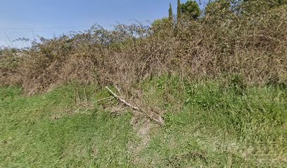 RivoFlor, Fiorista a Grottammare