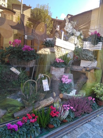 L'Oasi Di Monticelli Giovanna, Fiorista a Primaluna