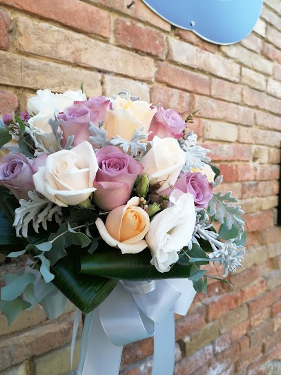 Plants and flowers, Fiorista a Sant'Agata Feltria