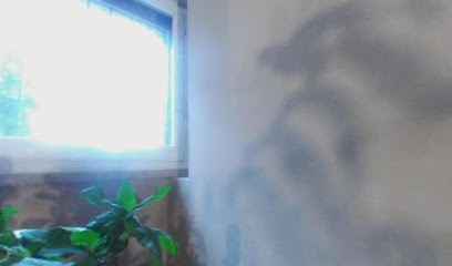 Officina Dei Fiori S.N.C., Fiorista a Parma