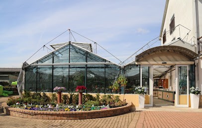 Floricoltura Cermelli di Cermelli Agostino, Fiorista a Castellazzo Bormida