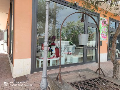 Il Tulipano Di Maccarrone Antonino - Piante E Fiori, Fiorista a Pedara