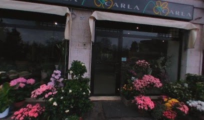 Fiorista Carla Silva Parma, Fiorista a Parma