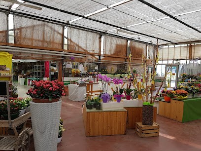 Soc. Agr. Florgarden Bet S.s., Fiorista a Vittorio Veneto