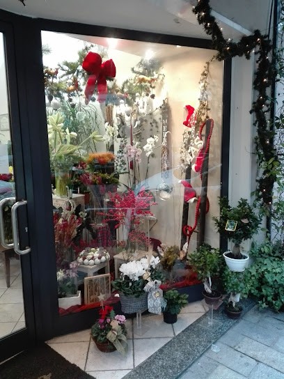 Il Nuovo Buon Giardiniere, Fiorista a Savona