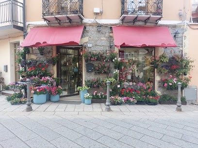 Fioricoltura L'Edera Di Mauro Macis, Fiorista a Lanusei