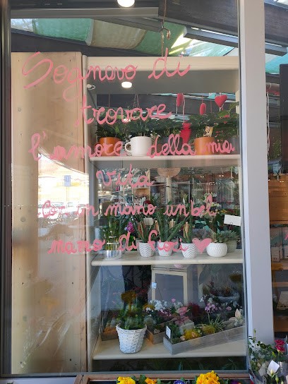 Trentinoplant.com Shop, Fiorista a Pergine Valsugana