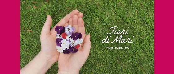 Fiori Di Mari, Fiorista a Tramonti di Sotto