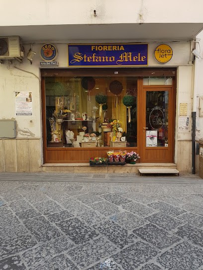 Mele Stefano, Fiorista a Mondragone