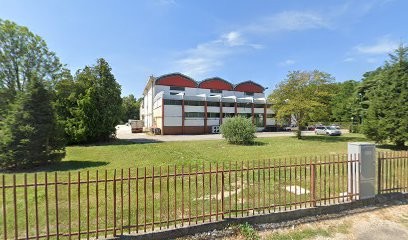 Zara Stefano, Fiorista a Dolo