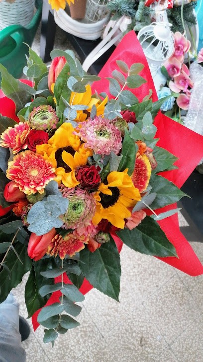 Russo Annamaria Le Rose Bleu, Fiorista a Sarno