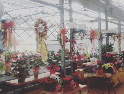 Floricoltura Simionato, Fiorista a San Donà di Piave