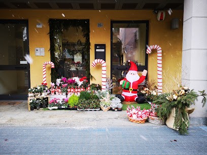 Il Girafiore, Fiorista a Turate