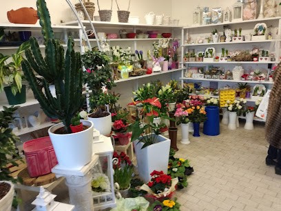 Fioreria Antonella, Fiorista a Ponte San Nicolò