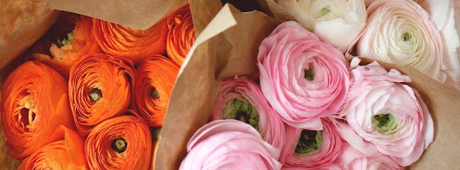 Fioreria Il Biancospino Di Vanzolini Rita, Fiorista a Gabicce Mare