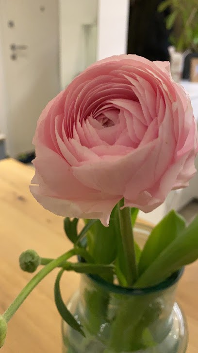 Fioreria Foglia D'Oro, Fiorista a San Donà di Piave