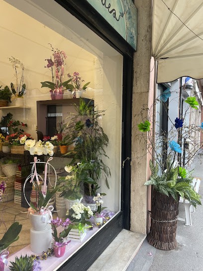Fioridea Di Bertolesi Elena, Fiorista a San Giuliano Milanese