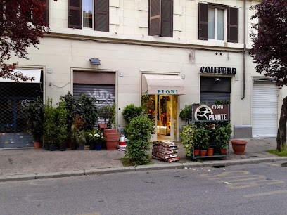 Fioridenni Florist Roma Prati, Fiorista a Roma