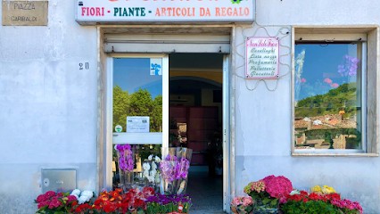 L' Orchidea di Bellizzi Rosanna, Fiorista a Lungro