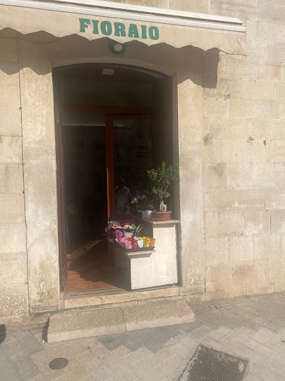 Le Petit Jardin, Fiorista a Molfetta
