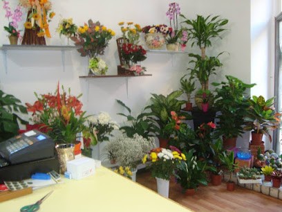 Fiori Di Angela, Fiorista a Genova