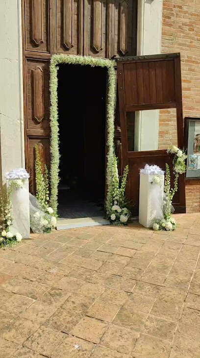 Fiori Piante Annalisa Flor, Fiorista a Senigallia