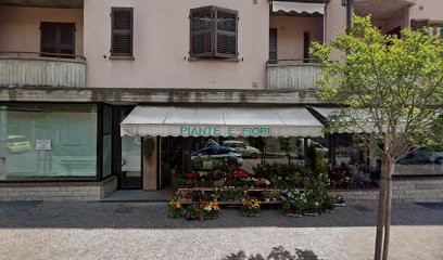 Quattro Passi Nel Verde Di Boresta Davide, Fiorista a Macerata Feltria