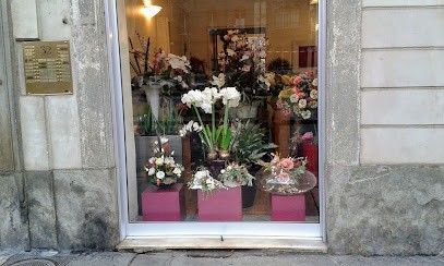 Il Faggio Piante E Fiori Artificiali, Fiorista a Torino