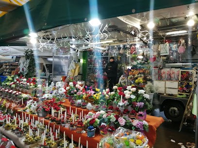 Teresa Ed Elisa Fiori, Fiorista a Torino