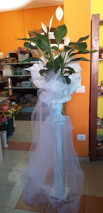 Ficarola Angelica, Fiorista a Priverno