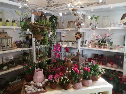 Fioreria Rugiada, Fiorista a Salzano