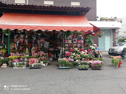 Flower Art, Fiorista a Roma
