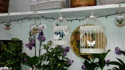 Fiorista Gianny E Vally, Fiorista a Rio Saliceto