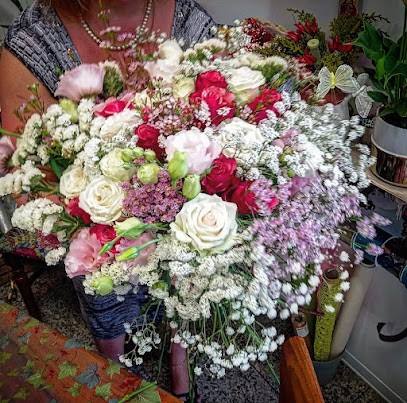 Poll Mari - Piante & Fiori, Fiorista a Grottammare