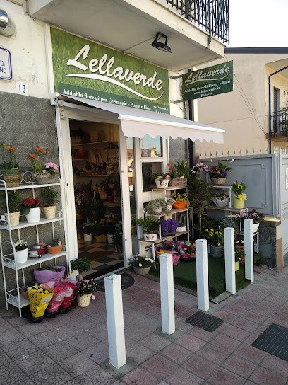 Lella Verde Fiori E Piante, Fiorista a Sant'Agata li Battiati