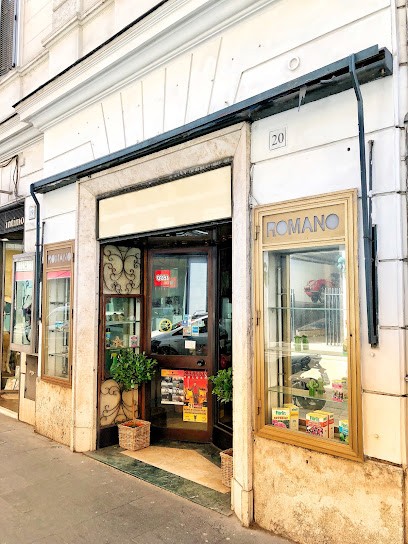 Romano Fiori, Fiorista a Roma