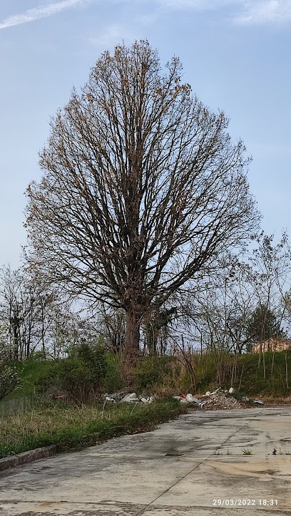 Sidoli Giuseppe, Fiorista a Castell'Arquato