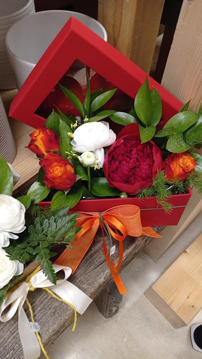 Agriflor S.N.C. Di Dal Bello Paolo & C., Fiorista a Istrana