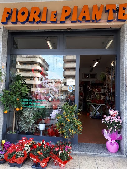 Flowers And Plants, Fiorista a Roma