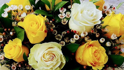 Floricoltura Raffaella, Fiorista a Guidizzolo